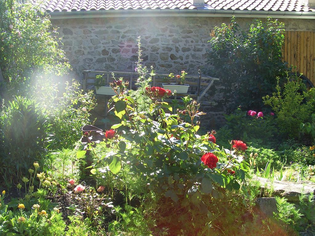 Cellier De La Fontaine Villa Saint-Georges-en-Couzan Cameră foto