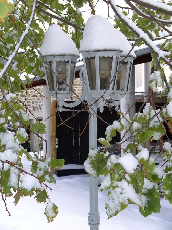 Cellier De La Fontaine Villa Saint-Georges-en-Couzan Cameră foto