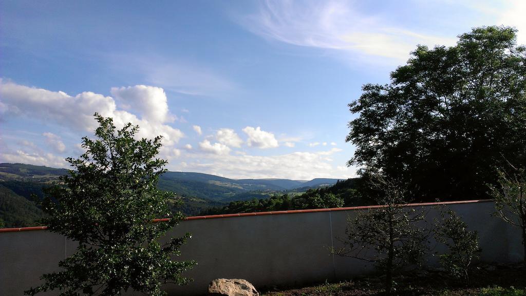 Cellier De La Fontaine Villa Saint-Georges-en-Couzan Cameră foto